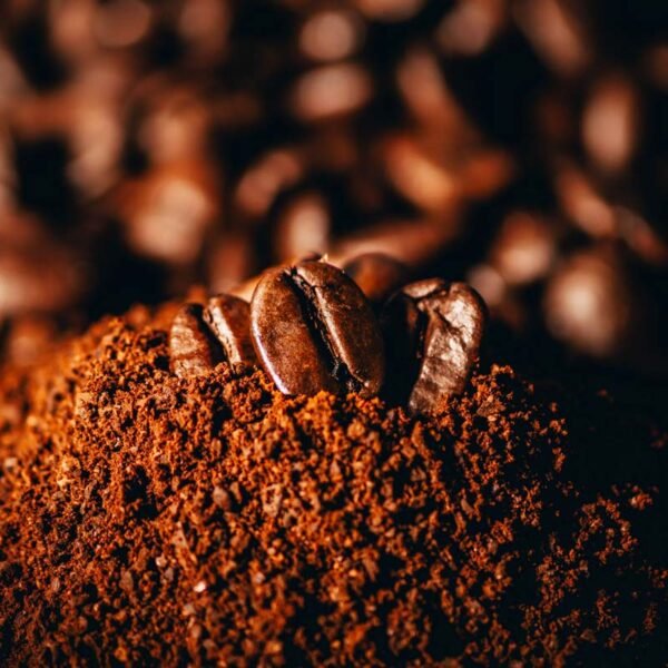 Pasadía Cafés Especiales | Full Day