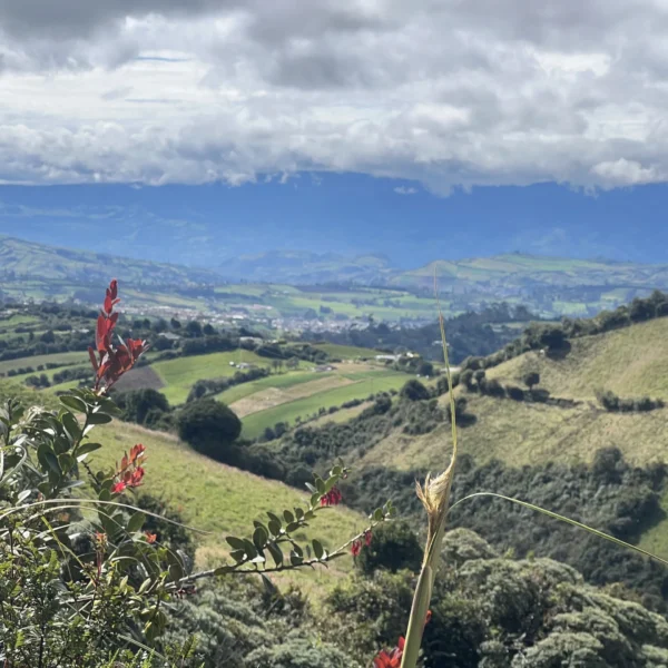 Paquete Zona Amortiguadora Volcán Azufral Senderismo y Avistamiento De Aves | Paquete 3 Días 2 Noches